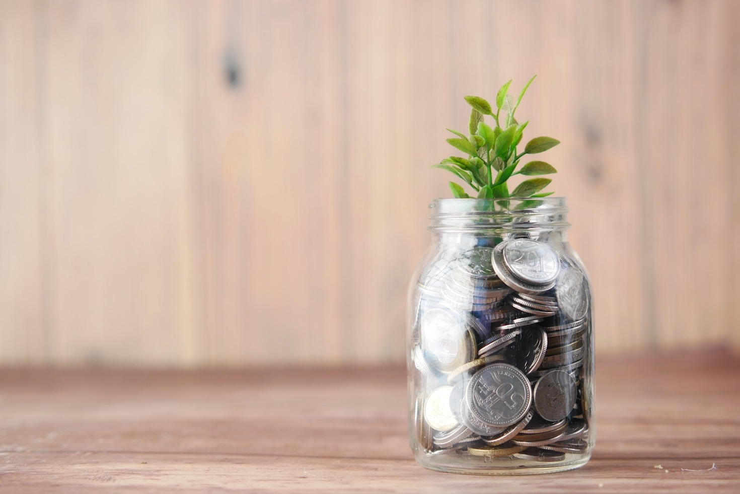 The Role of Scaling in Business Success